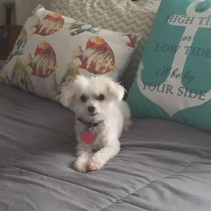 Meet your Posher, Kerri